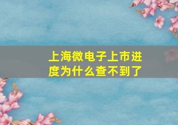 上海微电子上市进度为什么查不到了