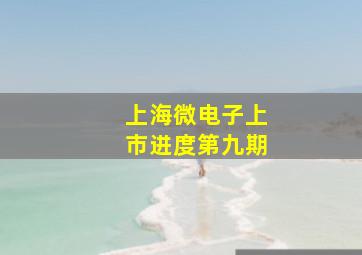 上海微电子上市进度第九期