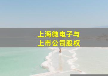 上海微电子与上市公司股权