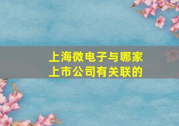 上海微电子与哪家上市公司有关联的