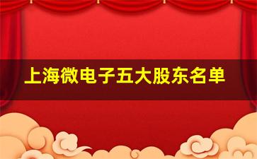 上海微电子五大股东名单