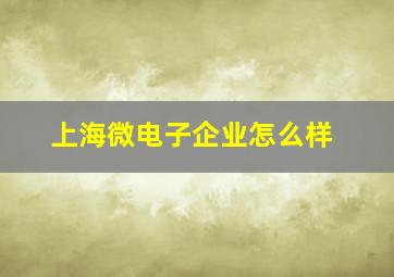 上海微电子企业怎么样