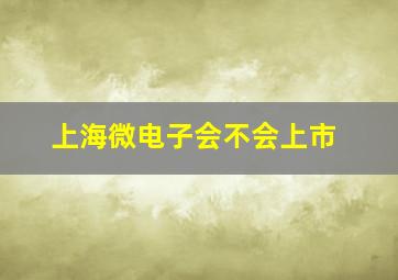 上海微电子会不会上市