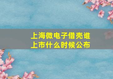 上海微电子借壳谁上市什么时候公布