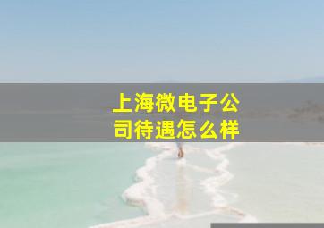 上海微电子公司待遇怎么样