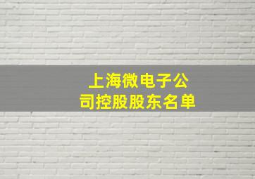 上海微电子公司控股股东名单