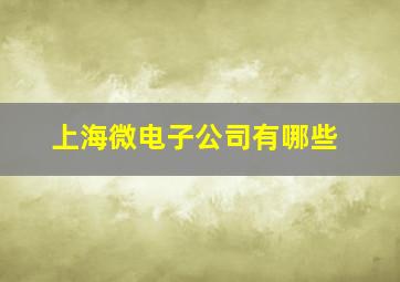 上海微电子公司有哪些