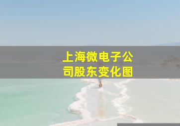 上海微电子公司股东变化图