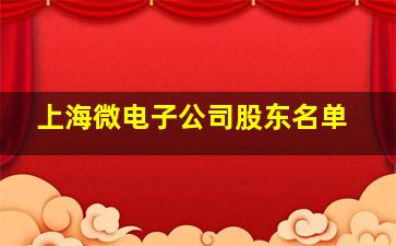 上海微电子公司股东名单