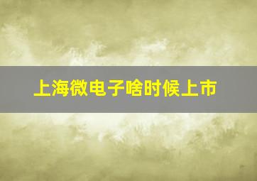 上海微电子啥时候上市