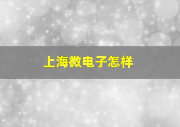 上海微电子怎样