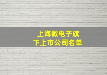 上海微电子旗下上市公司名单