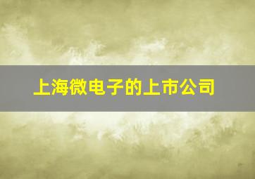 上海微电子的上市公司