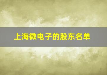 上海微电子的股东名单