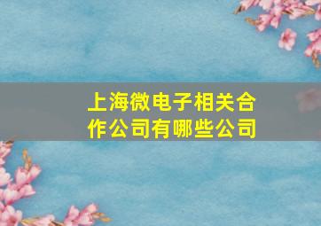 上海微电子相关合作公司有哪些公司