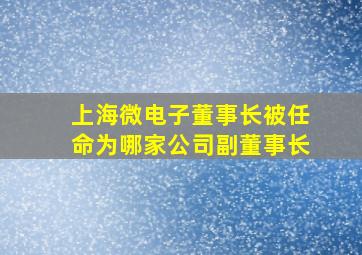 上海微电子董事长被任命为哪家公司副董事长