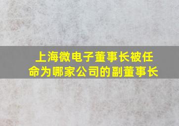 上海微电子董事长被任命为哪家公司的副董事长