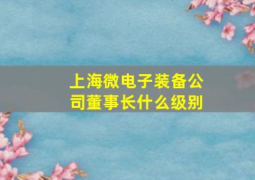 上海微电子装备公司董事长什么级别