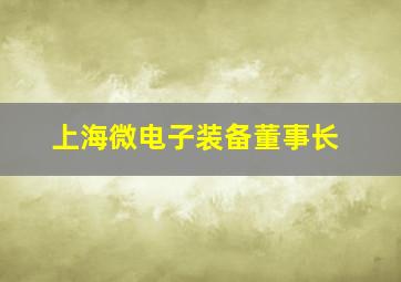 上海微电子装备董事长