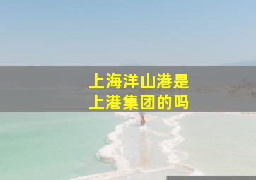 上海洋山港是上港集团的吗