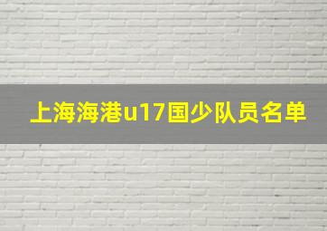 上海海港u17国少队员名单