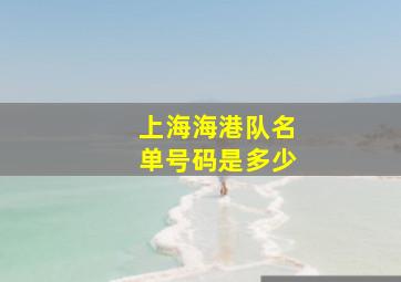 上海海港队名单号码是多少