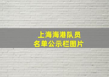 上海海港队员名单公示栏图片