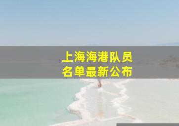 上海海港队员名单最新公布