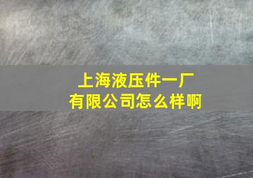 上海液压件一厂有限公司怎么样啊