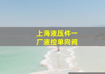 上海液压件一厂液控单向阀