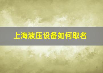 上海液压设备如何取名