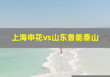 上海申花vs山东鲁能泰山