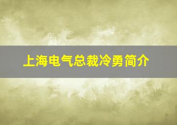 上海电气总裁冷勇简介