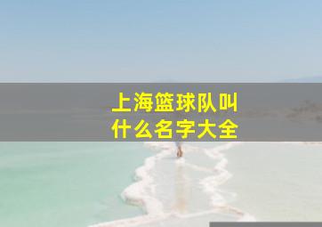 上海篮球队叫什么名字大全