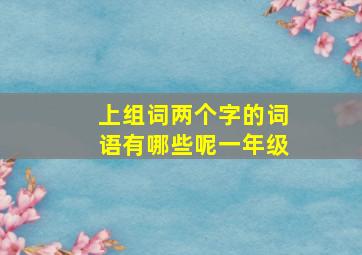 上组词两个字的词语有哪些呢一年级