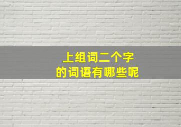 上组词二个字的词语有哪些呢