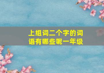 上组词二个字的词语有哪些呢一年级