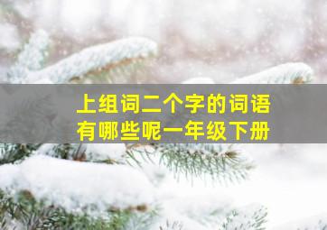 上组词二个字的词语有哪些呢一年级下册