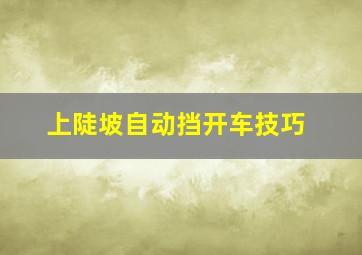 上陡坡自动挡开车技巧