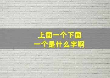 上面一个下面一个是什么字啊