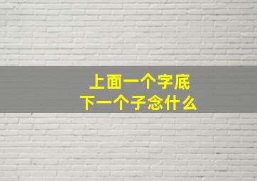 上面一个字底下一个子念什么