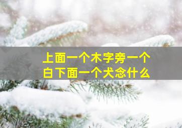 上面一个木字旁一个白下面一个犬念什么