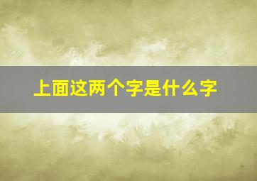 上面这两个字是什么字