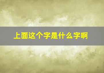 上面这个字是什么字啊