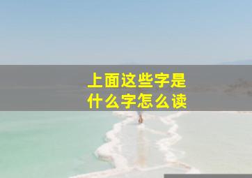 上面这些字是什么字怎么读