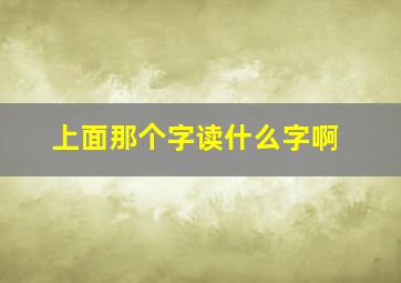 上面那个字读什么字啊