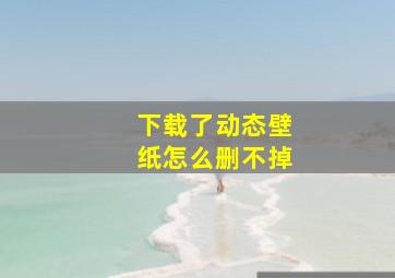 下载了动态壁纸怎么删不掉