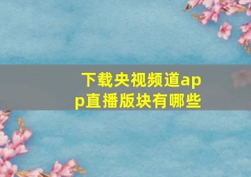 下载央视频道app直播版块有哪些