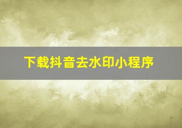 下载抖音去水印小程序