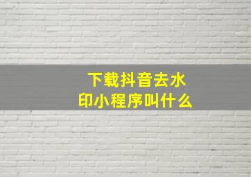 下载抖音去水印小程序叫什么